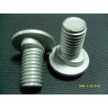 High Standard Zinc Plated Carriage Screw Grade 5